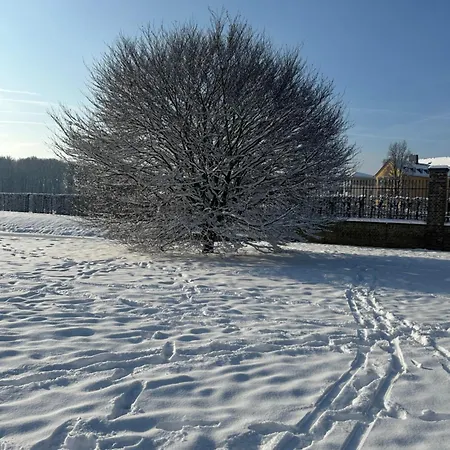 Dachterrasse 3 * Brühl