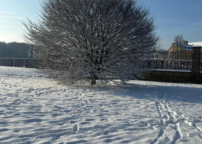 Dachterrasse 3 * Brühl